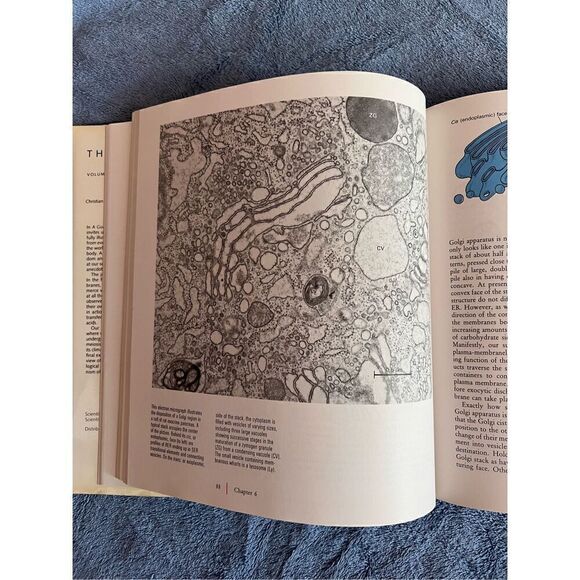 Vintage Biology Cell Book 1984 - Picture 3 of 6